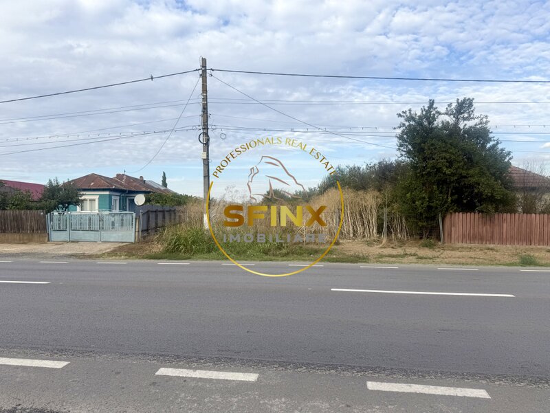 Manasia, teren 3905 mp, pozitie la drum judetean