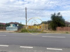 Manasia Teren 3905 mp, pozitie la drum judetean